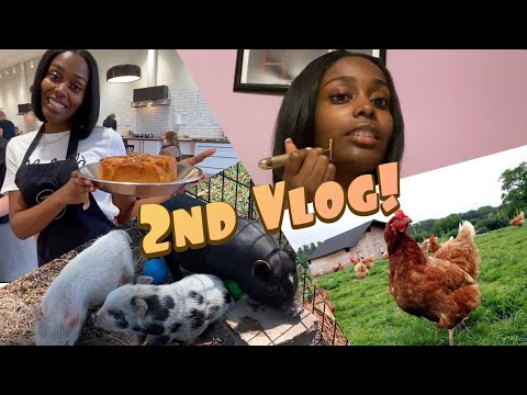 VLOG DAY | A DAY IN MY LIFE , NIGHT ROUTINE , COOKING...