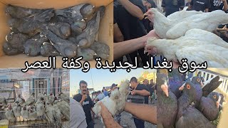 سوق بغداد لجديده وكفة العصر اهل الكراتين والخانات والجنابيز يوم 2025/8/24