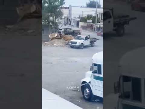 Lo más normal es Tamaulipas 💀 #mexico #funnyvideos