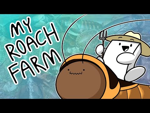 So I Started a Dubia Roach Farm