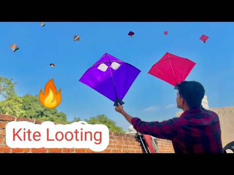 Kite Looting 🔥 Kite Catching | Patang lootere