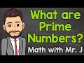 Exploring the World of Prime Numbers