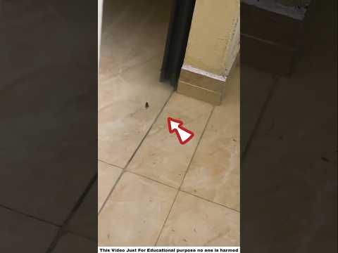 Girl Got Unexpected Surprise 😨