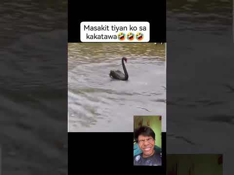 Bawal tumawa💔😭#trendingshorts #funny #musicvideo #remix #reaction #viralshort