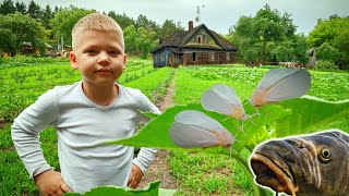 видео