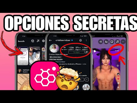 ✅ Descubre TODAS las OPCIONES SECRETAS de HONISTA que Nadie Te Dijo 😳