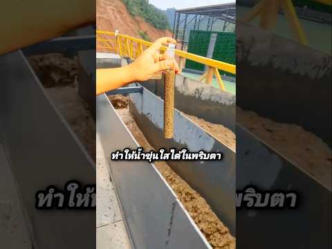 ทำให้น้ำขุ่นใสได้ในพริบตา#เล่าเรื่อง #shorts #viralvideo