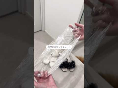 DAISO×パッキングの裏技7選 #youtubeshorts #パッキング #旅行 #ダイソー