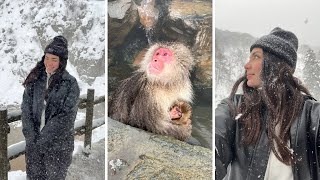 Come with me to see the Snow Monkeys in Japan 🇯🇵