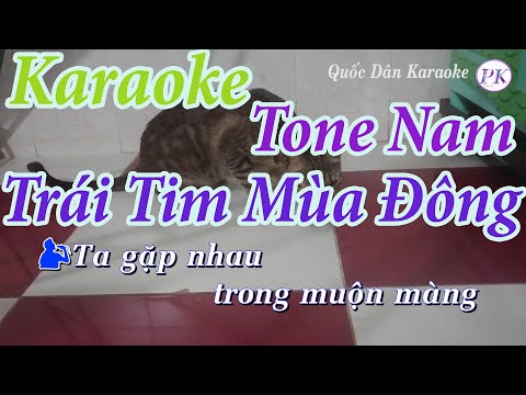 Karaoke Trái Tim Mùa Đông – Tone Nam (Sol Thứ Gm) – Quốc Dân Karaoke