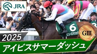 2025年 アイビスサマーダッシュ（GⅢ） | 第25回 | JRA公式