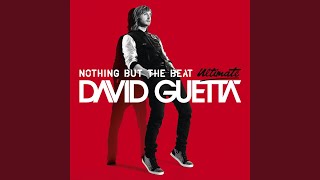 David Guetta - Nothing Really Matters