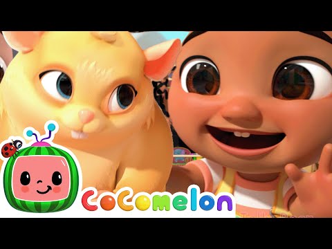 Nina's Class Pet Song |  CoComelon - Nursery Rhymes with Nina