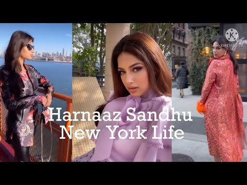 Miss Universe Harnaaz Sandhu, her NewYork Lifestyle. #missuniverse #harnaazsandhu