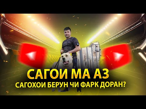 САГОИ МА АЗ САГХОИ КУЧАГИ ЧИ ФАРК МЕКУНАД?