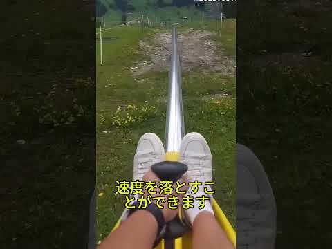 ブレーキがいつも良いとは限らない😂
