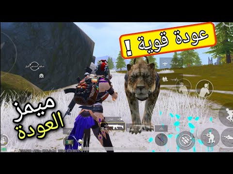 فيديو العودة🤩