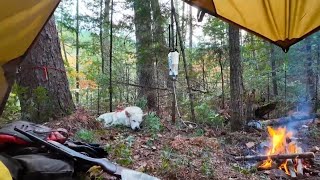 Joe & Wolfie Go Camping & Fishing 🐕🎣 | Epic Wilderness Adventure With a perfect Dog