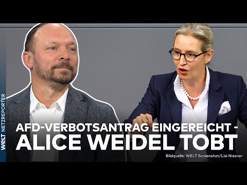 AMPEL-AUS: Noch vor den Neuwahlen - Über 100 Abgeordnete wollen AfD-Verbot durchbringen | WELT News