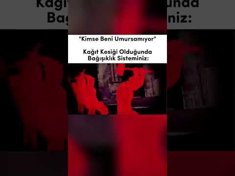 Bağışıklık Sistemi 🗿