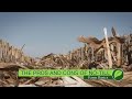 No-Till Farming Practices and Challenges