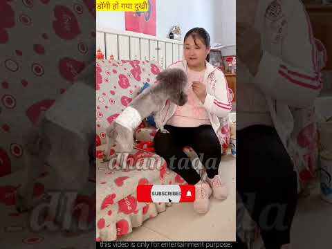 डॉगी ? हो गया दुखी?~mini wood toy wood working art skill wood#shorts#trendingshorts #funny
