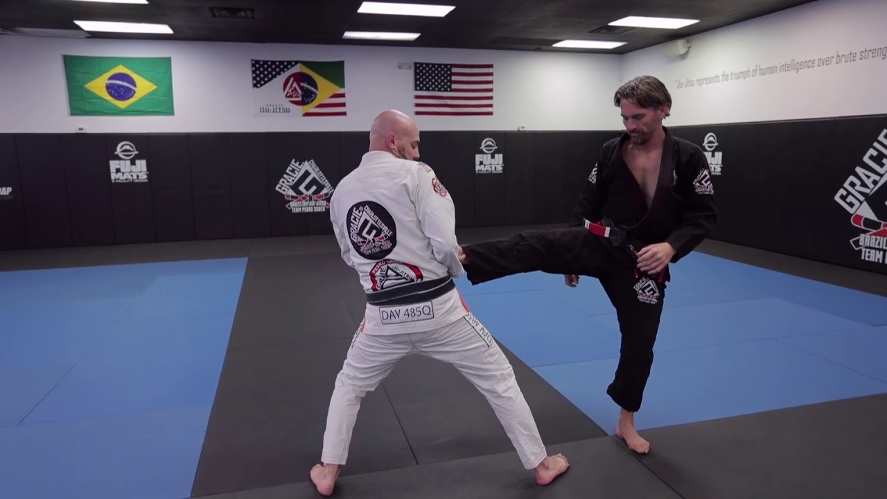 Front kick defense