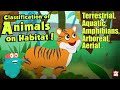 Animal Habitats and Characteristics