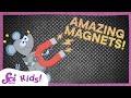 Magnetism and Animal Navigation
