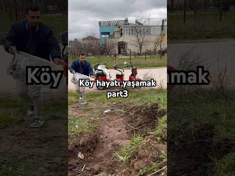 EVİN EN KÜÇÜĞÜ OLMA PROBLEMS