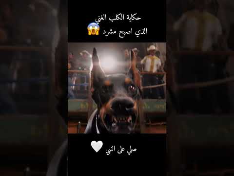 حكاية الكلب الغني الذي اصبح مشرد 😱#تلخيص_أفلام #film #اكسبلور #قصص