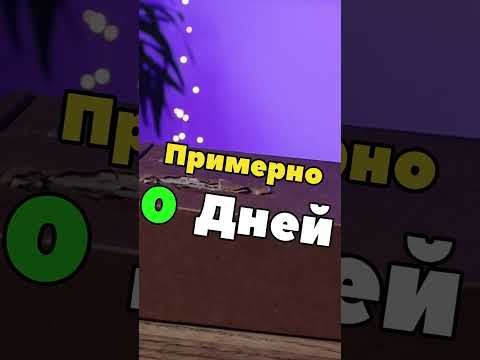 Так РОЖДАЮТСЯ программисты  #программирование #айти #геймдев  #компьютер