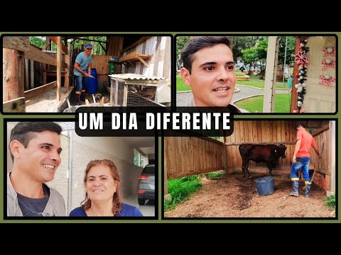 UM DIA DIFERENTE: LIMPEZA  DO GALINHEIRO AQUI NO SÍTIO + FUI NA MINHA MÃE