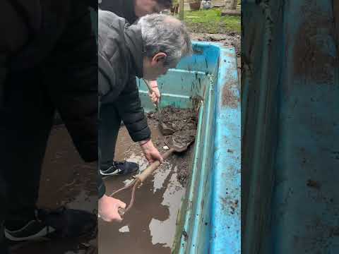 ¡Le remodele la casa a un pato! 🐣