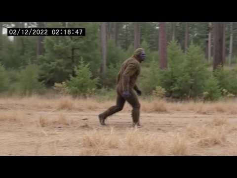 30 Creepiest Wildlife and Cryptid Encounters Caught on Camera (Part 2)