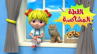 اغنية القطه المشاكسه حلوه بس  قويه | اغاني اطفال بون بون