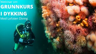 Webinar on Grunnkurs i Dykking.