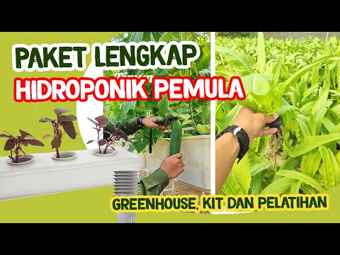 Paket lengkap untuk hidroponik pemula - greenhouse plus kit #tanaman #agriculture #kebun #greenhouse