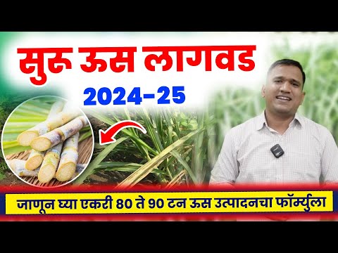 सुरू ऊस लागवड माहिती 2024-25 | suru us lagwad mahiti | us lagwad mahiti marathi | sugarcane farming