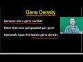 Transposable Elements and Gene Functions