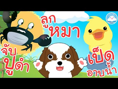 เพลงจับปูดำ เพลงลูกหมา เพลงเป็ดอาบน้ำ เพลงเด็กน้อยวัยอนุบาล @KidsOnCloud 