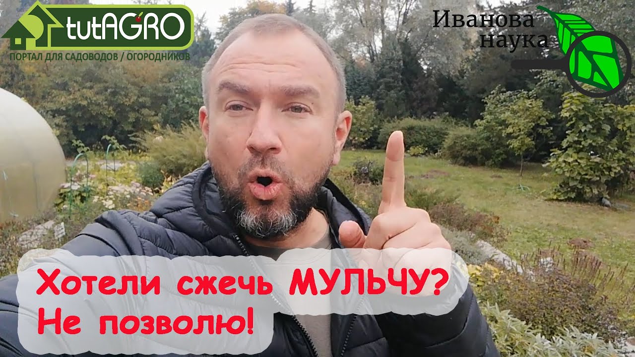 Не жги! Куда правильно использовать осеннюю мульчу. Мульчу не выбрасывайте, мульча еще послужит!