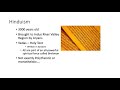 Hinduism and South Asia Concepts