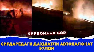 Сирдарёдаги дахшатли автохалокат булди