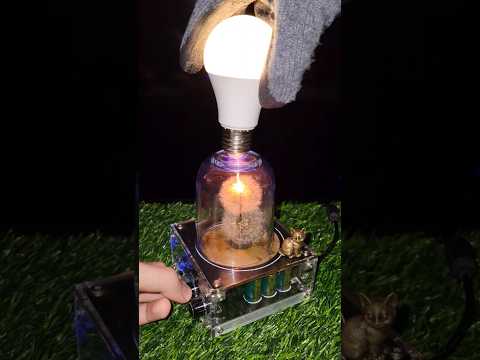 ๐คฏ Physics: two dry dandelions + tesla coil #experiment #plant #flower