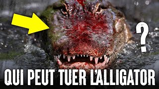 5 Animaux Qui Pourraient Vaincre Un ALLIGATOR