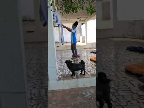 ##shorts #colocando roupas no varal