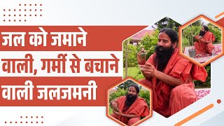 जल को जमाने वाली, गर्मी से बचाने वाली जलजमनी || Swami Ramdev