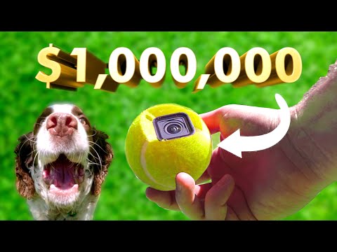 How I Won the GoPro $1 Million Challenge With This Tennis Ball