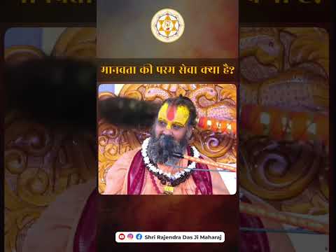 मानवता की परम सेवा क्या है ? #malookpeeth #yamunaji #rajendradasjimaharaj #sant #vrindvan #rewasa
